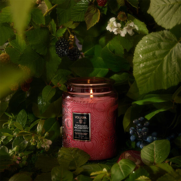 Foraged Wildberry Large Jar